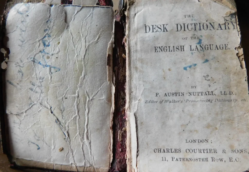 Darby Ryan; The Desk Dictionary of Darby Ryan. Pic by Martin Quinn